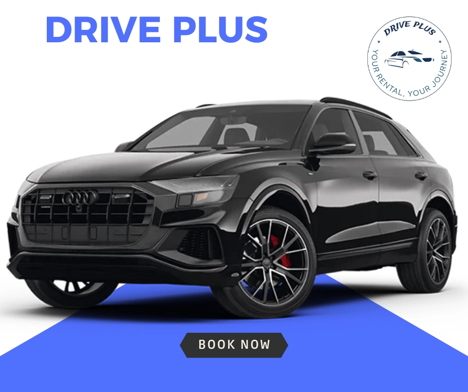 Audi Q8 Diesel Automatico