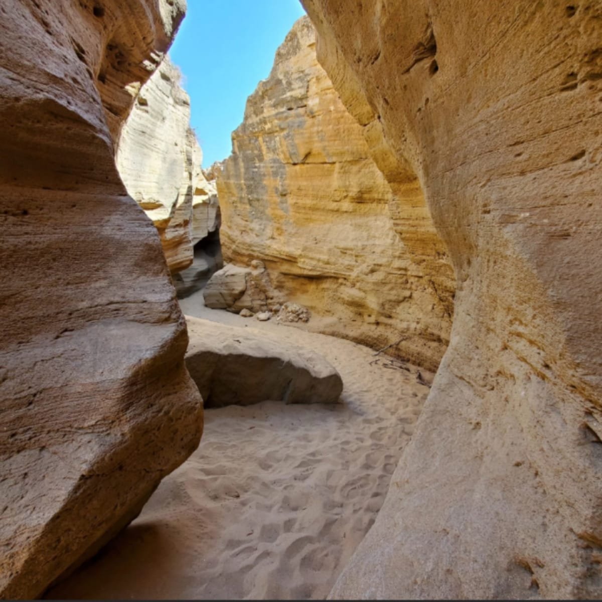 Timlaline Sand Dunes near Agadir, a unique natural landscape where golden dunes meet the Atlantic Ocean in Morocco