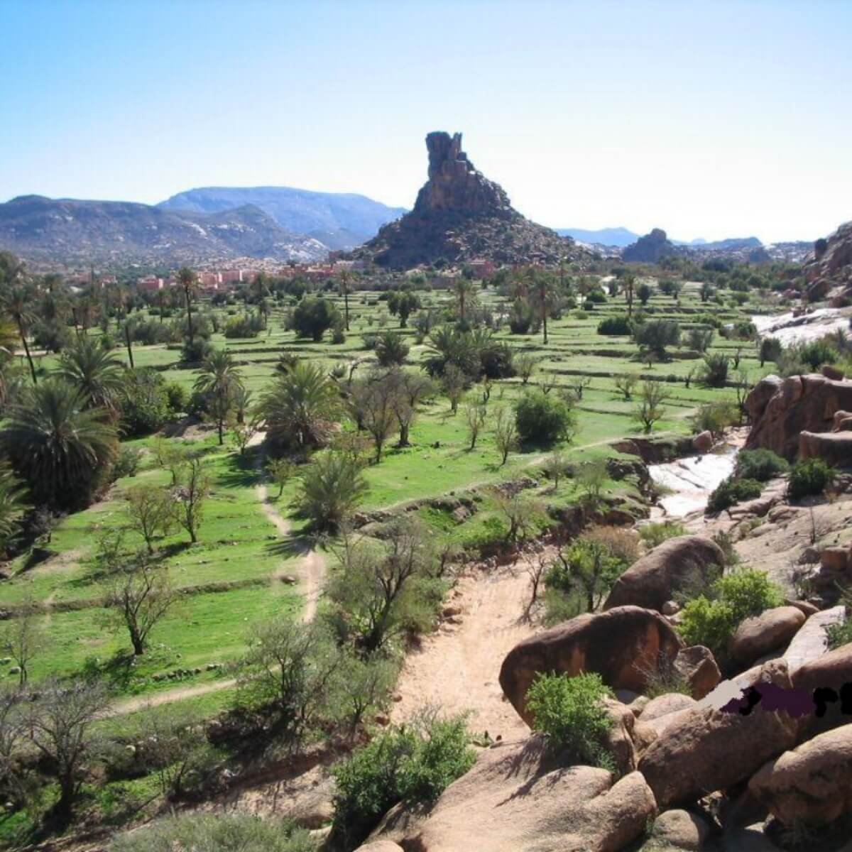 Tafraoute Travel Guide: pink granite mountains and palm valley in southern Morocco